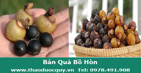 quả bồ h&ograve;n
